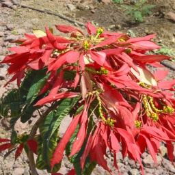 aethiopien_rundreise43