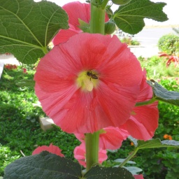 aethiopien_rundreise50