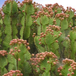 aethiopien_rundreise52