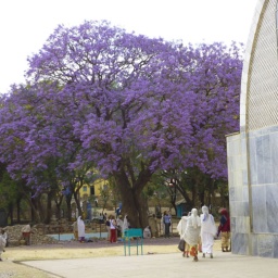 aethiopien_rundreise56