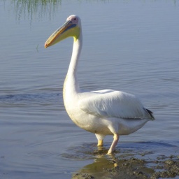 aethiopien_rundreise60