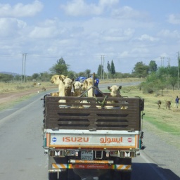 aethiopien_rundreise62