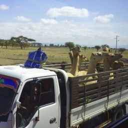 aethiopien_rundreise63