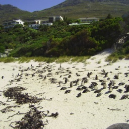zambia_botswana_suedafrika30
