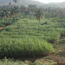 kapverden_rundreise_2015_16