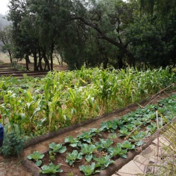 kapverden_rundreise_2015_46