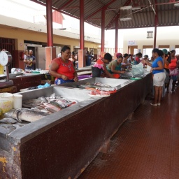 kapverden_rundreise_2015_63