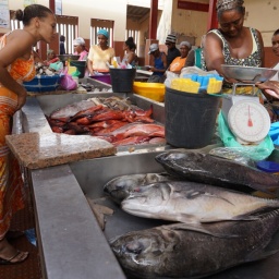 kapverden_rundreise_2015_64