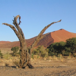 namibia48