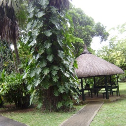 kreuzfahrt_indischer_ozean4