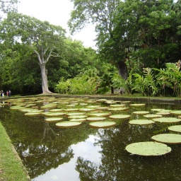 kreuzfahrt_indischer_ozean5