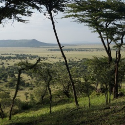 tansania_sansibar_2015_104