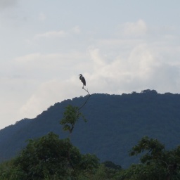 tansania_sansibar_2015_12