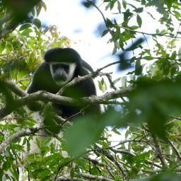 tansania_sansibar_2015_13