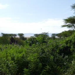 tansania_sansibar_2015_142