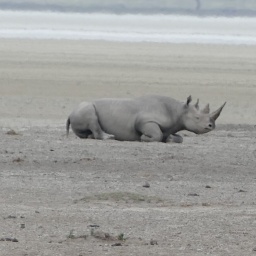 tansania_sansibar_2015_145