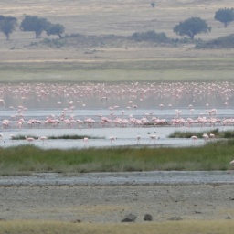 tansania_sansibar_2015_147