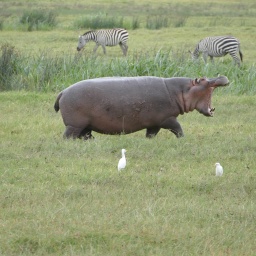 tansania_sansibar_2015_149