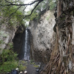 tansania_sansibar_2015_2