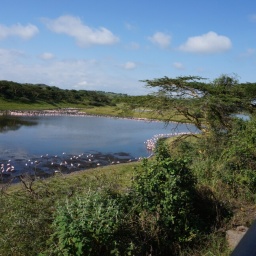 tansania_sansibar_2015_3