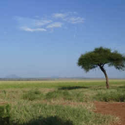 tansania_sansibar_2015_38