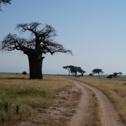 tansania_sansibar_2015_51