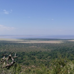 tansania_sansibar_2015_60