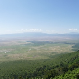 tansania_sansibar_2015_65