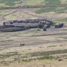 tansania_sansibar_2015_66