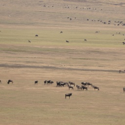 tansania_sansibar_2015_68