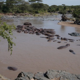 tansania_sansibar_2015_79