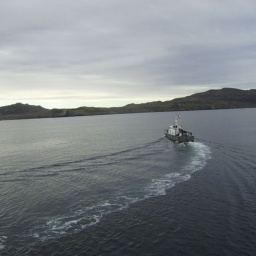 kreuzfahrt_antarktis