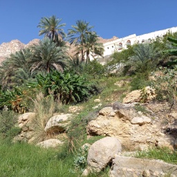 oman_rundreise_2025_30