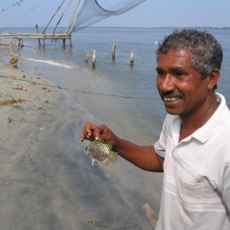 indien_sueden_ceylon29