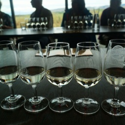 neuseeland_rundreise_102