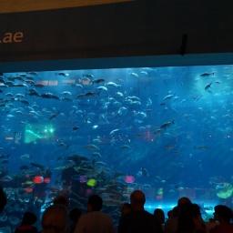 neuseeland_rundreise_12