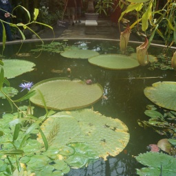 neuseeland_rundreise_152