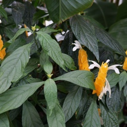 neuseeland_rundreise_153