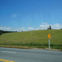 neuseeland_rundreise_20