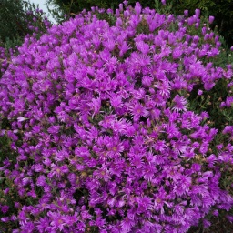 neuseeland_rundreise_32