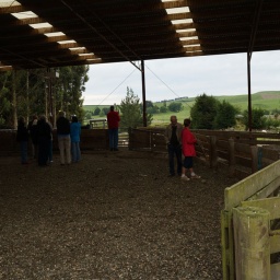 neuseeland_rundreise_36