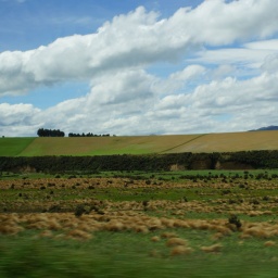 neuseeland_rundreise_39