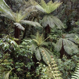 neuseeland_rundreise_46