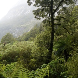 neuseeland_rundreise_47