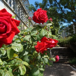 neuseeland_rundreise_62