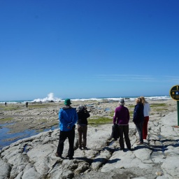 neuseeland_rundreise_87