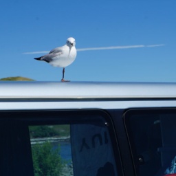 neuseeland_rundreise_89