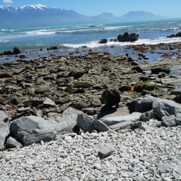 neuseeland_rundreise_90