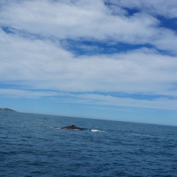 neuseeland_rundreise_94