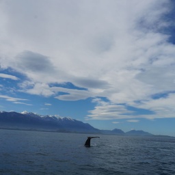 neuseeland_rundreise_95